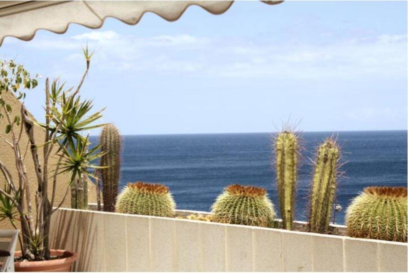 Apartamento Frente Al Mar Radazul المظهر الخارجي الصورة